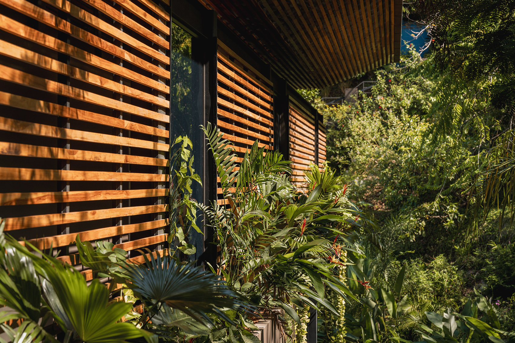 Cascada de Luz 别墅丨哥斯达黎加丨Studio Saxe-32