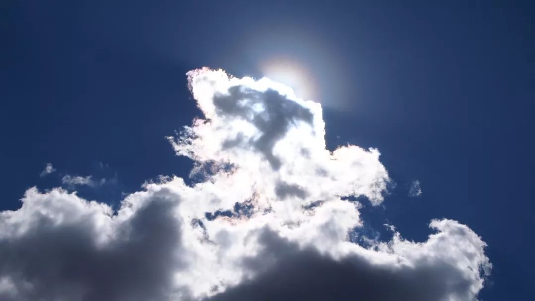 终南山书院 | 回归自然的诗意栖居-60