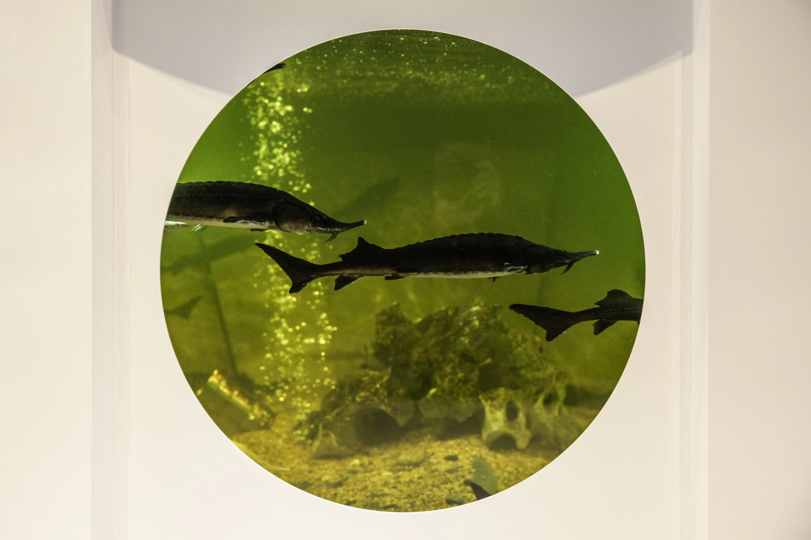 哈萨克斯坦 2015 世博会展馆 | 呈现传统与现代的和谐共生-20