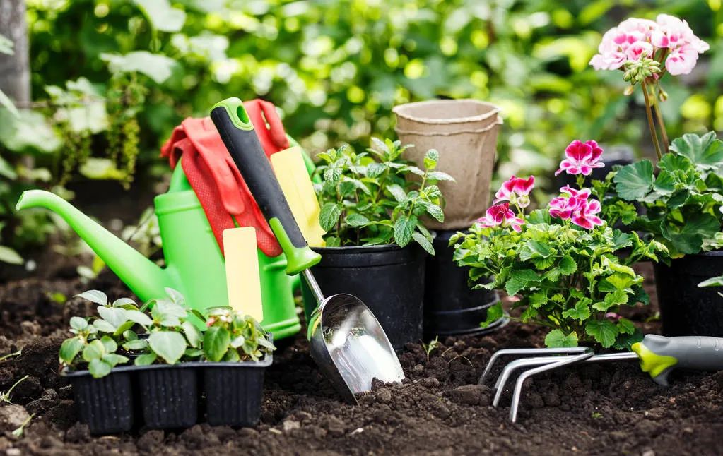 春季花园维护攻略，打造美丽庭院-4