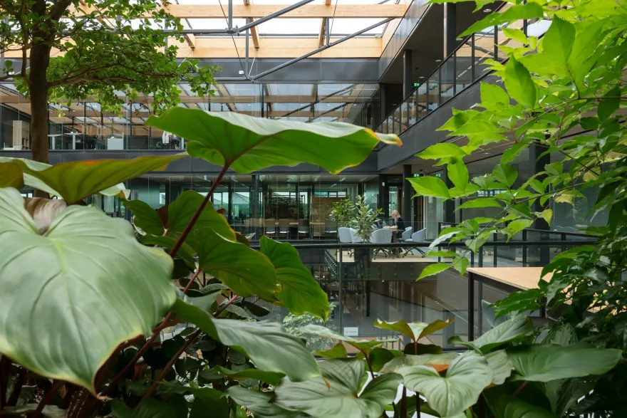 下一个代尔夫特丨荷兰丨Ector Hoogstad Architecten-7