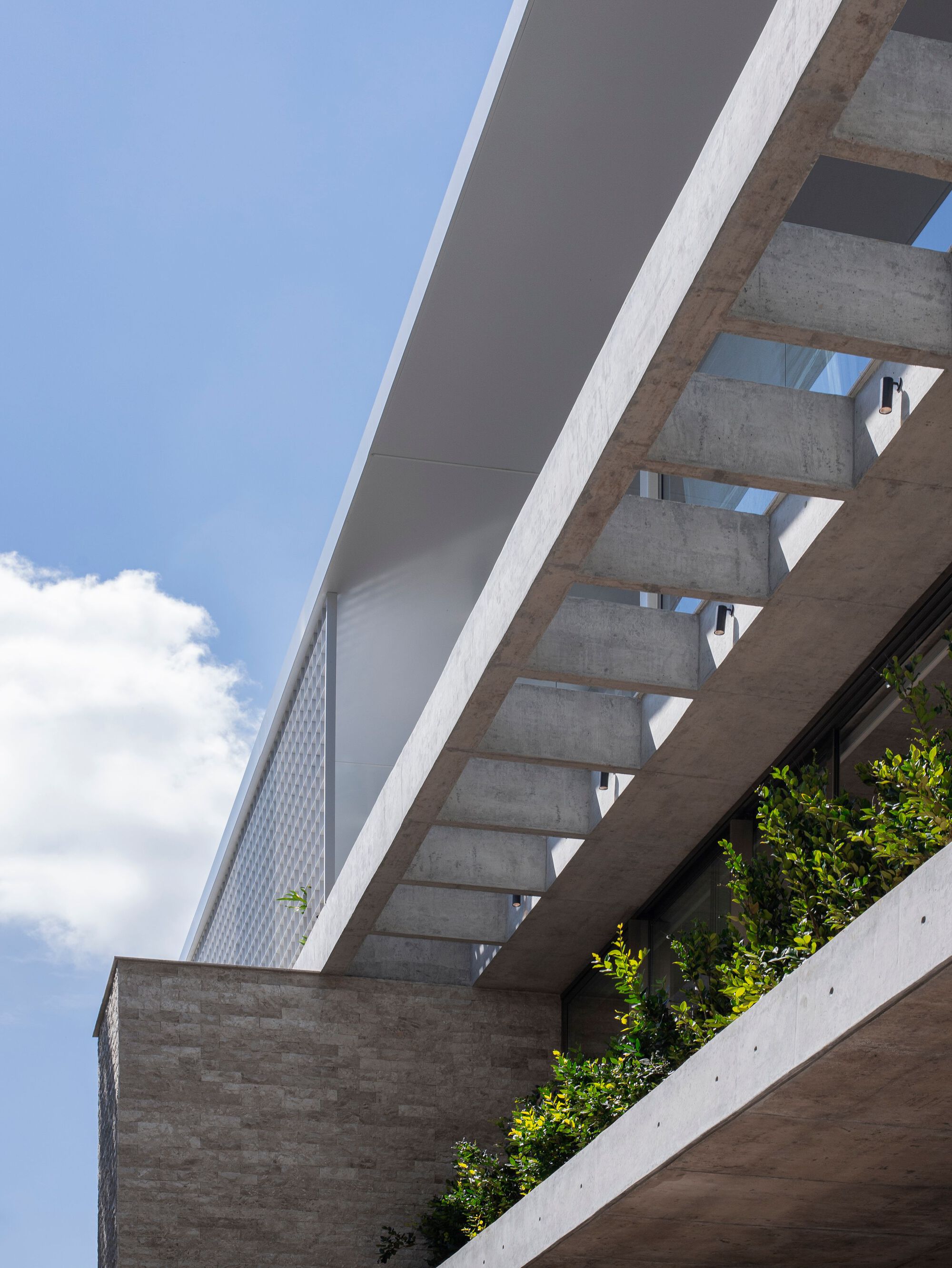 别墅建筑丨巴西丨Marcos Bertoldi Arquitetos-42