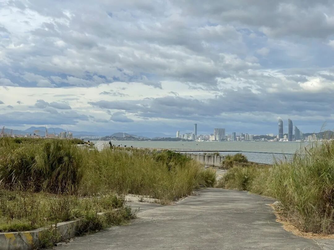 双鱼岛咏气演化所实验性水上运动配套建筑设计丨中国漳州丨Studio 10-12