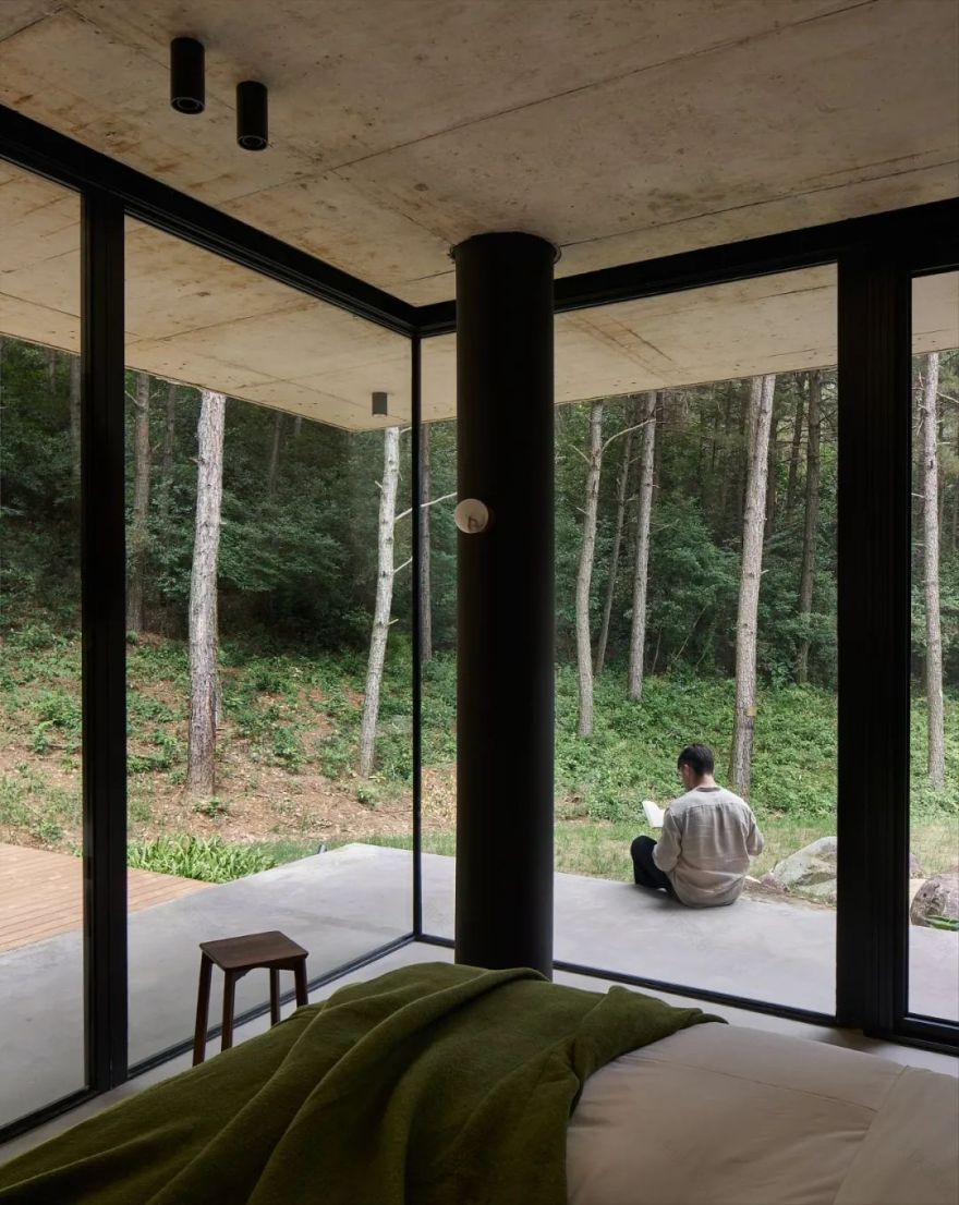 山谷松林里的隐世秘境之旅|PrivateJourneyinthePineryValley-204