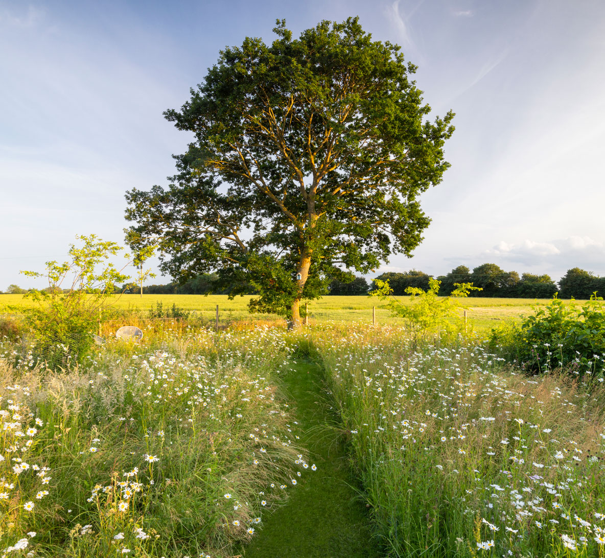 诗意中游弋 | Colm Joseph-110