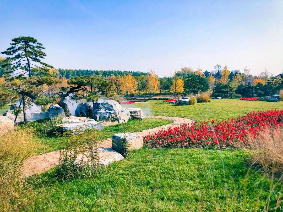 【匠心设计】“绿心”跃动，绘就北京城市副中心生态和谐画卷-39