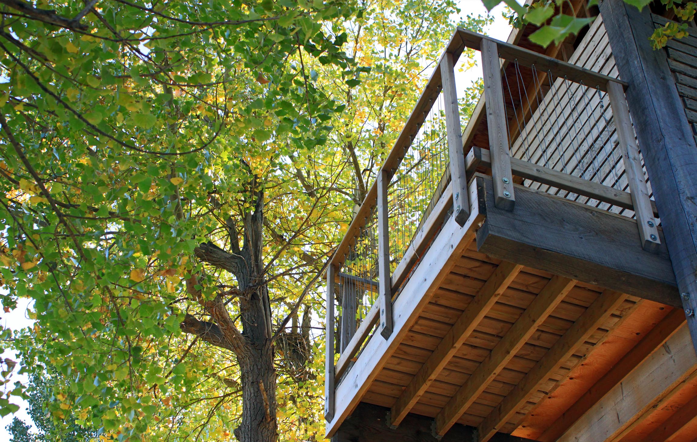 treetop house-12