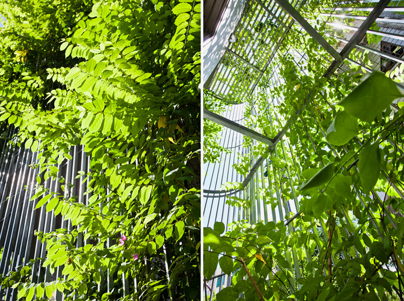 河内绿色瀑布 | 环保与美观的共生住宅-19