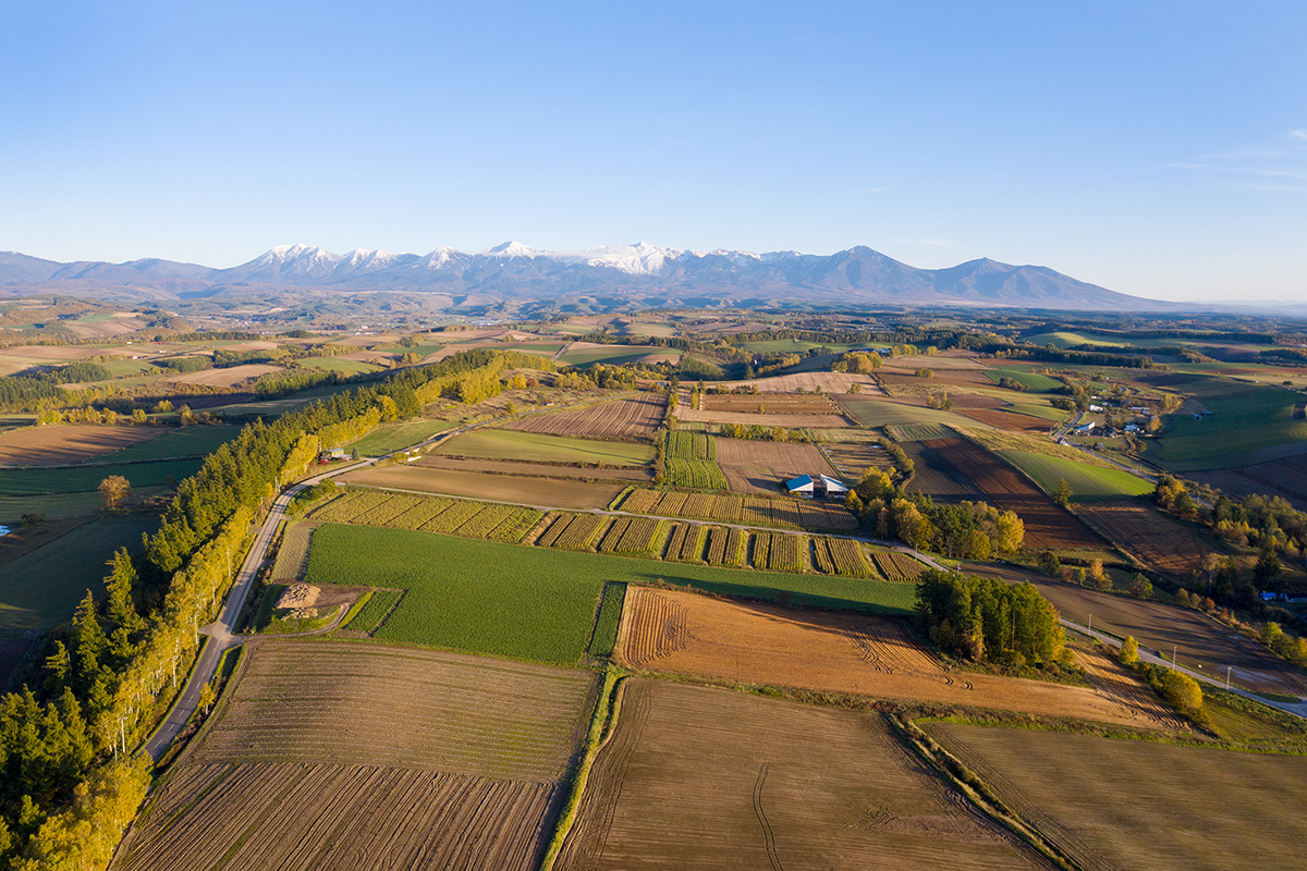 美瑛别墅群丨佐野健太建筑设计事务所-4
