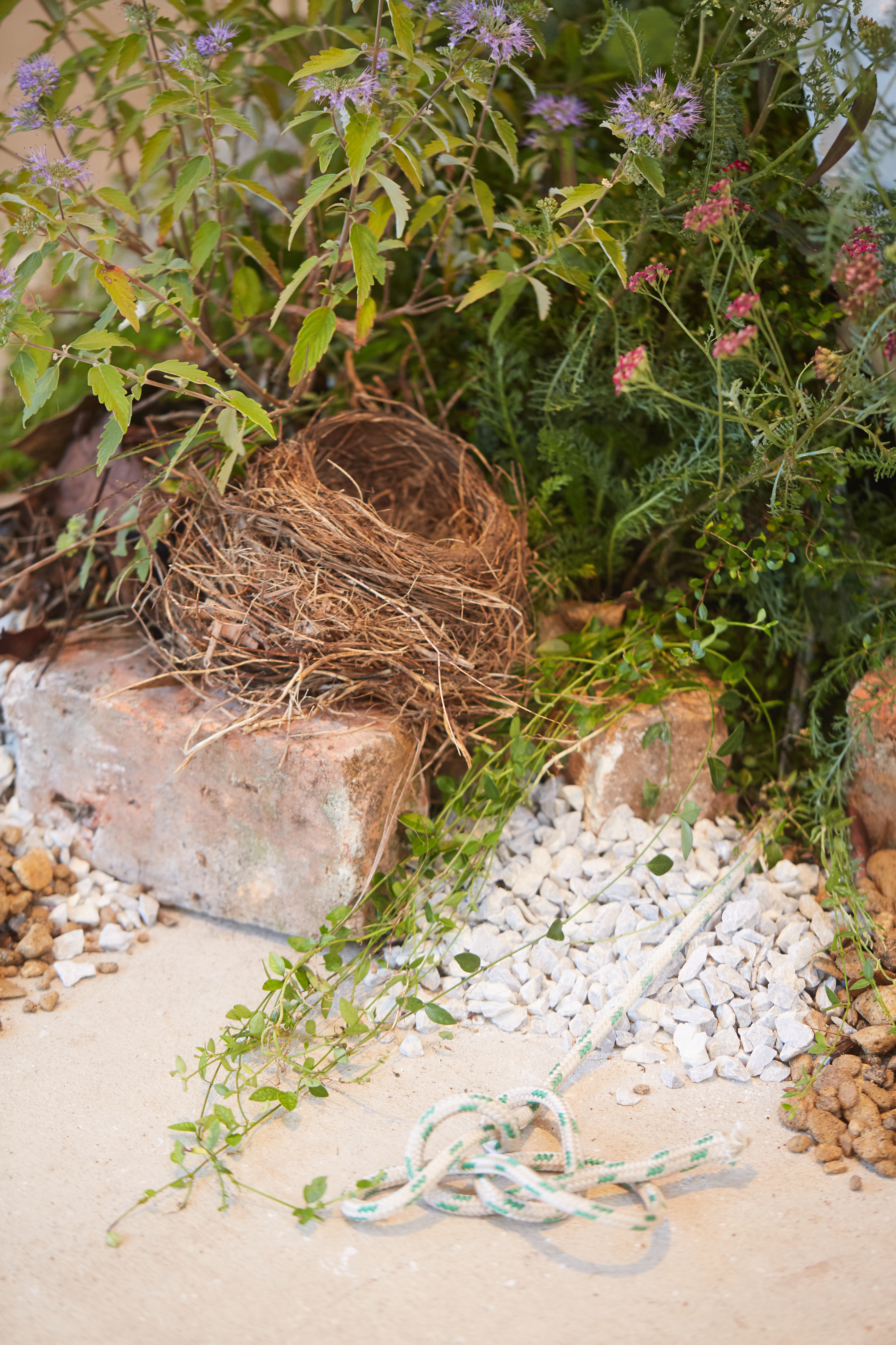 丨新西兰奥克兰丨Xanthe White Design-29