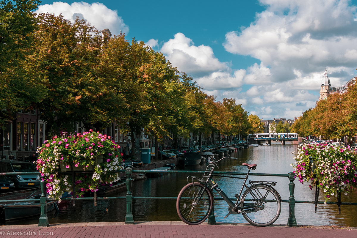 魅力秋日阿姆斯特丹丨荷兰阿姆斯特丹-12