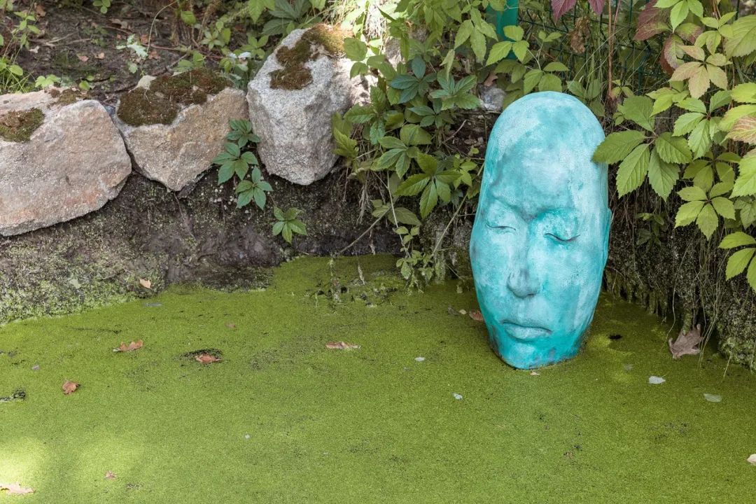 乌克兰 Shkrub 住宅丨Serhii Makhno-41