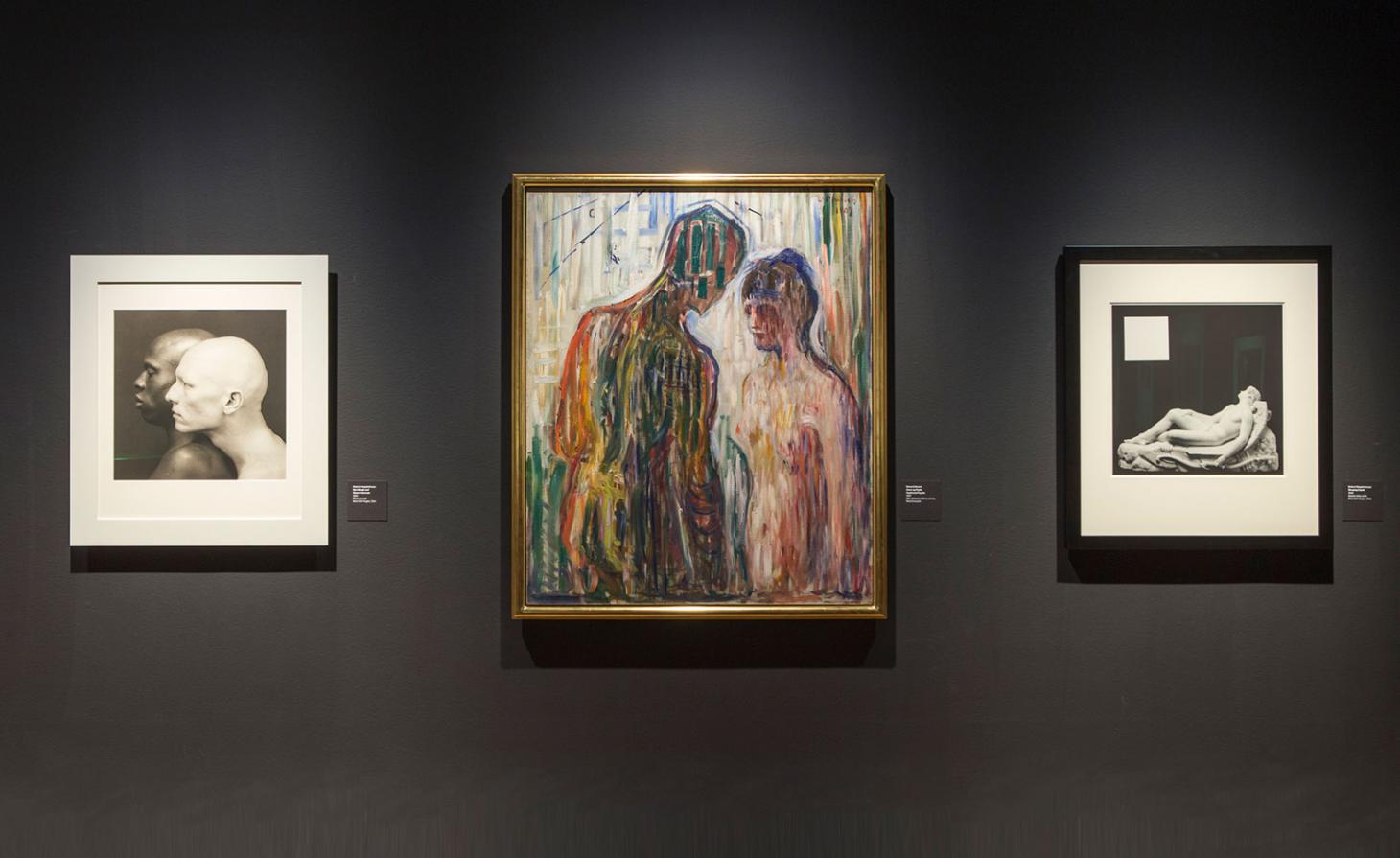 Mapplethorpe Munch 展览-22