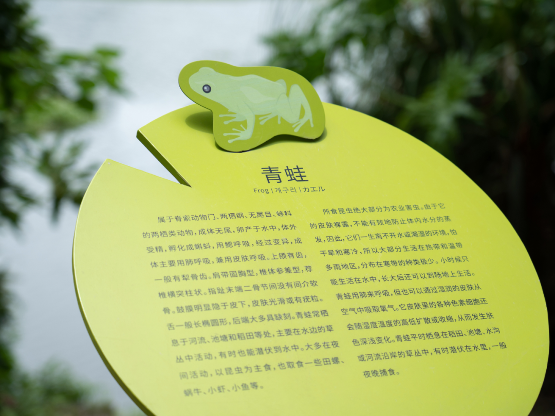 白鹭湾湿地公园自然探索基地丨中国成都丨上海柏熙标识有限公司-22