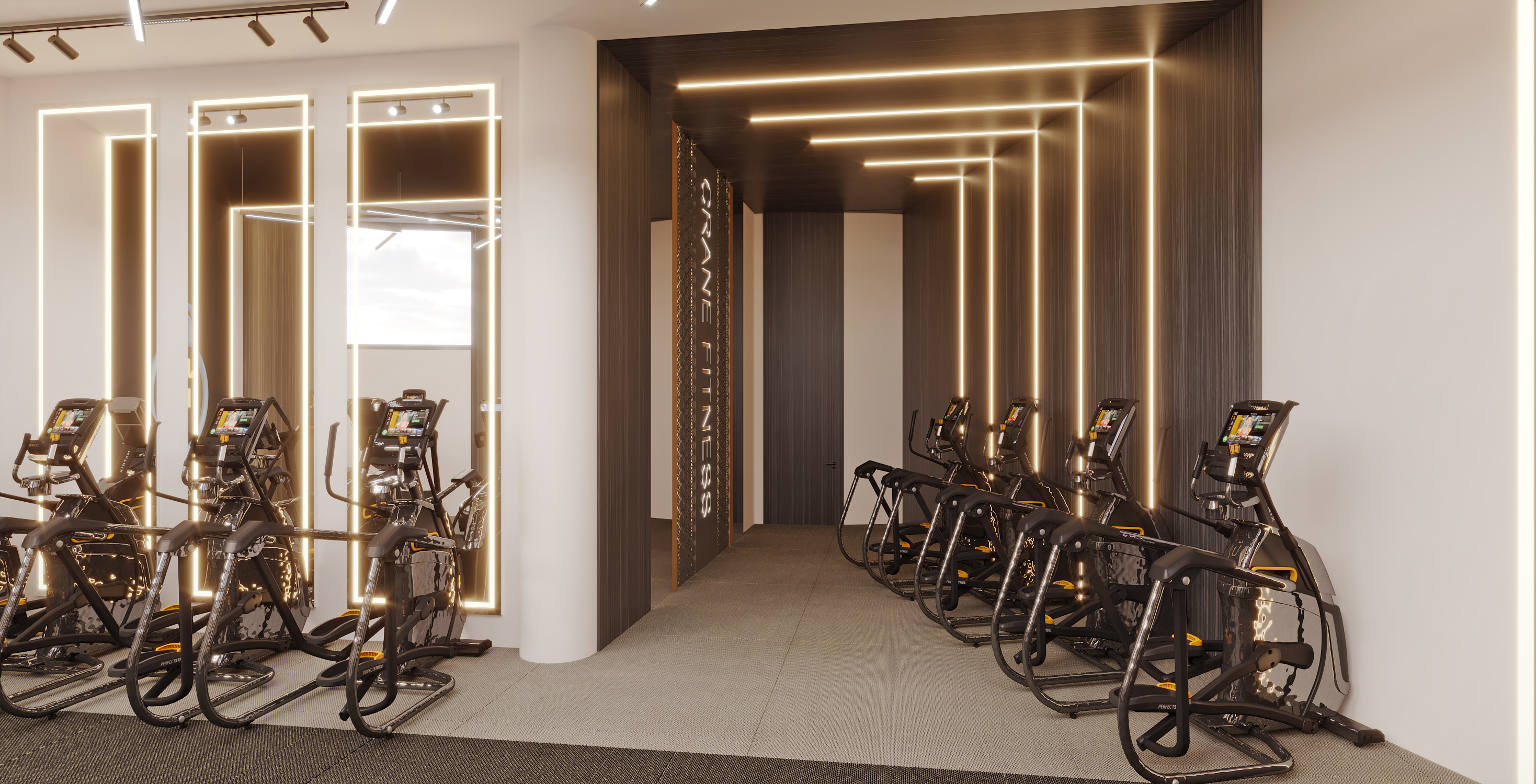 CRANE GYM SAUDI ARABIA-3