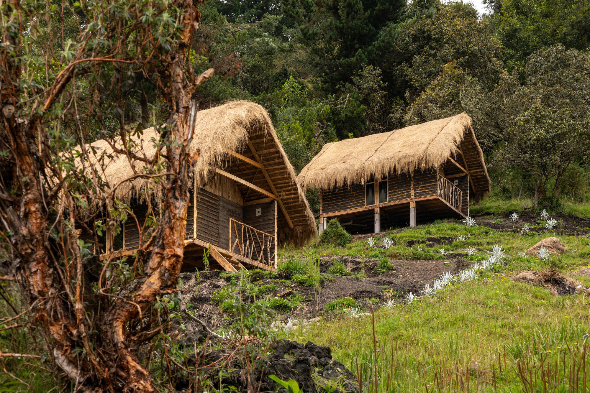 丨Ecuador丨Cubbil studio-27