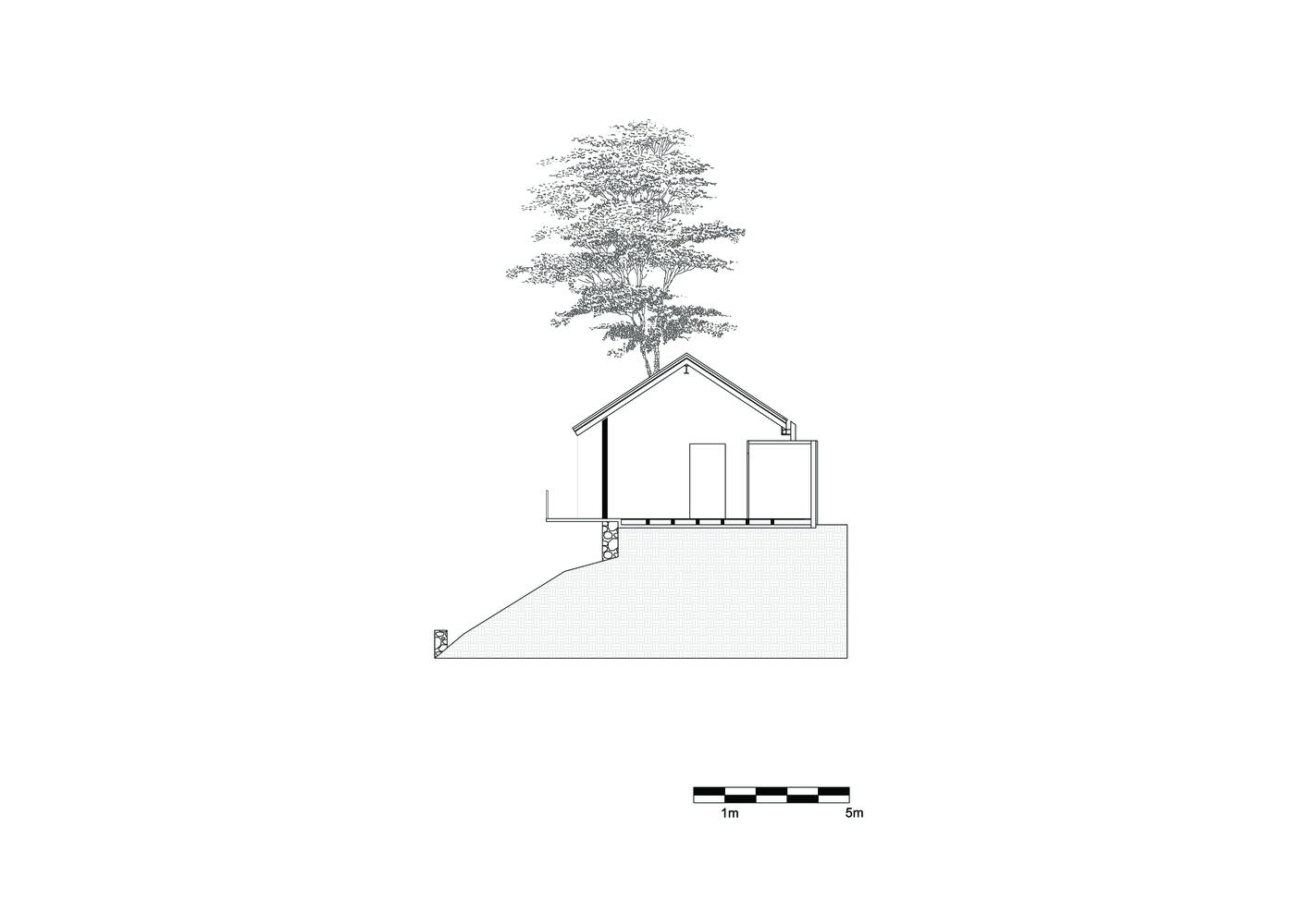 墨西哥“树屋”设计，自然与建筑和谐共生-32