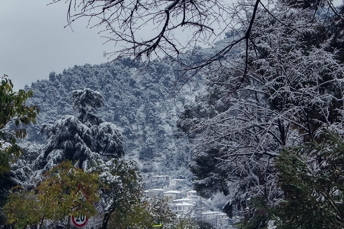 Anastasiya Gushchina丨乡村建筑丨Snow day-3