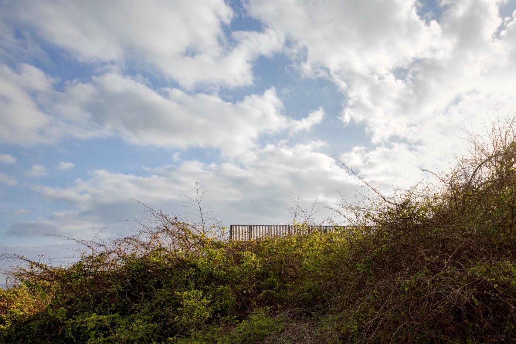 墨西哥 UAVI 景观凉亭丨PPAA-33