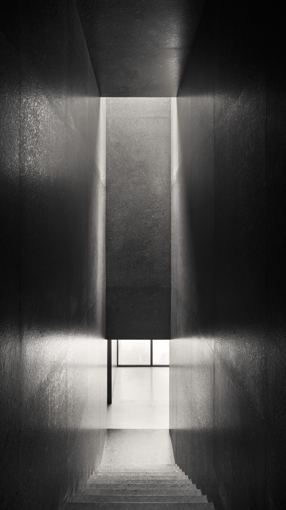 瑞士驻墨西哥大使住宅丨墨西哥墨西哥城-49