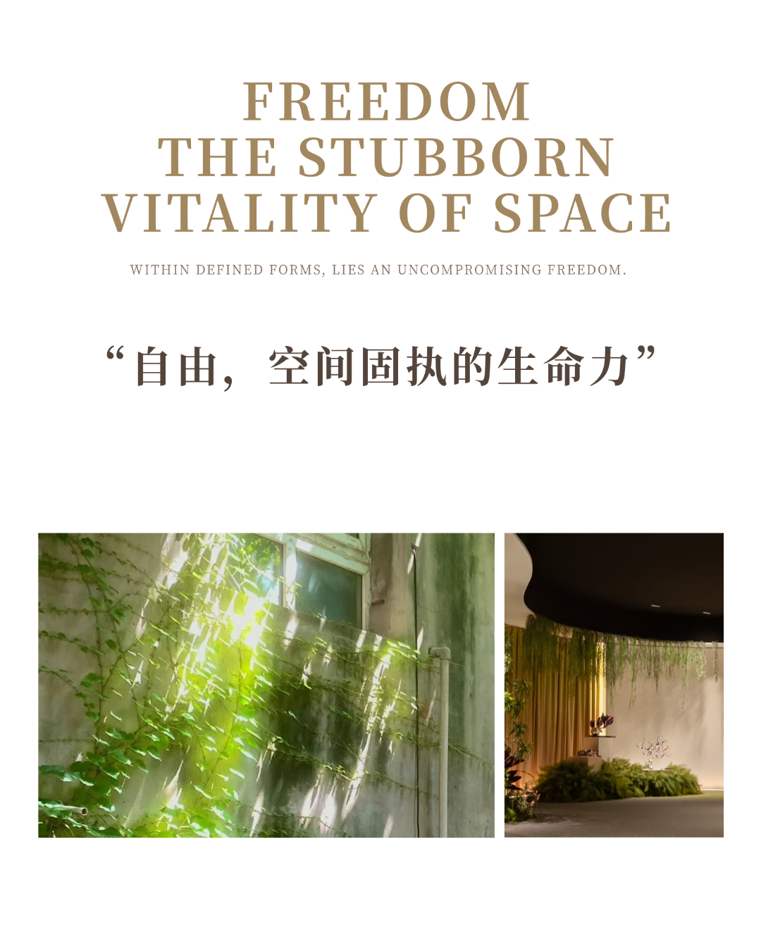 济南远洋万和公馆丨中国济南丨刘荣禄国际空间设计-12