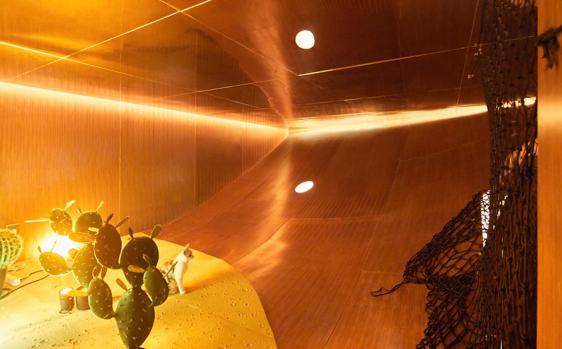 喵星人入侵 · 猫咪共享空间丨中国青岛丨黄士华-18