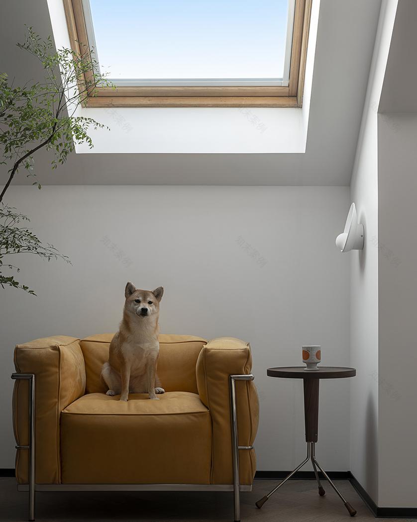 初一的幸福困扰-80