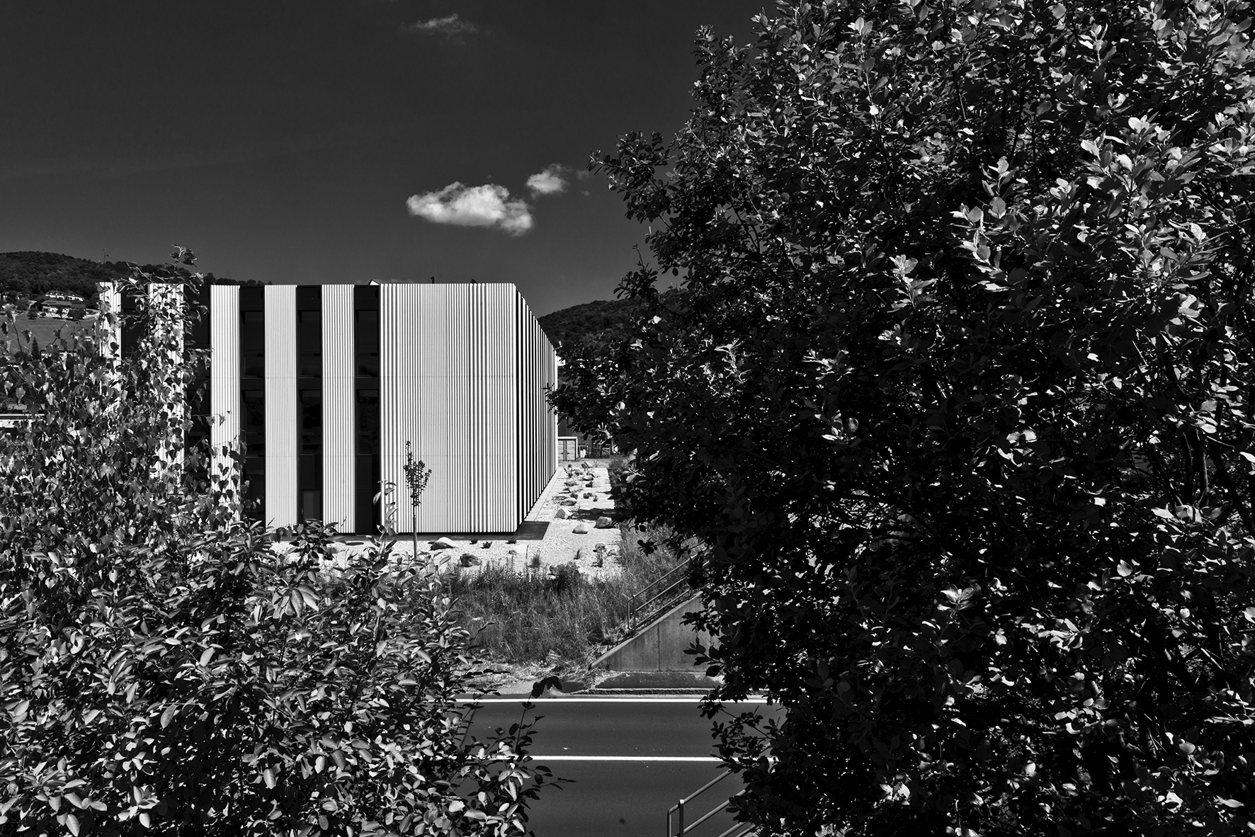 奥地利 B3 办公楼-30