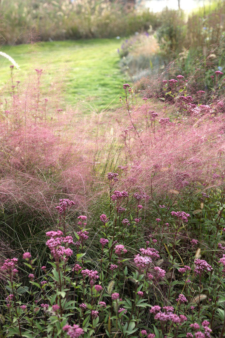 多岛海野草公园丨中国日照丨孔祥伟工作室-144