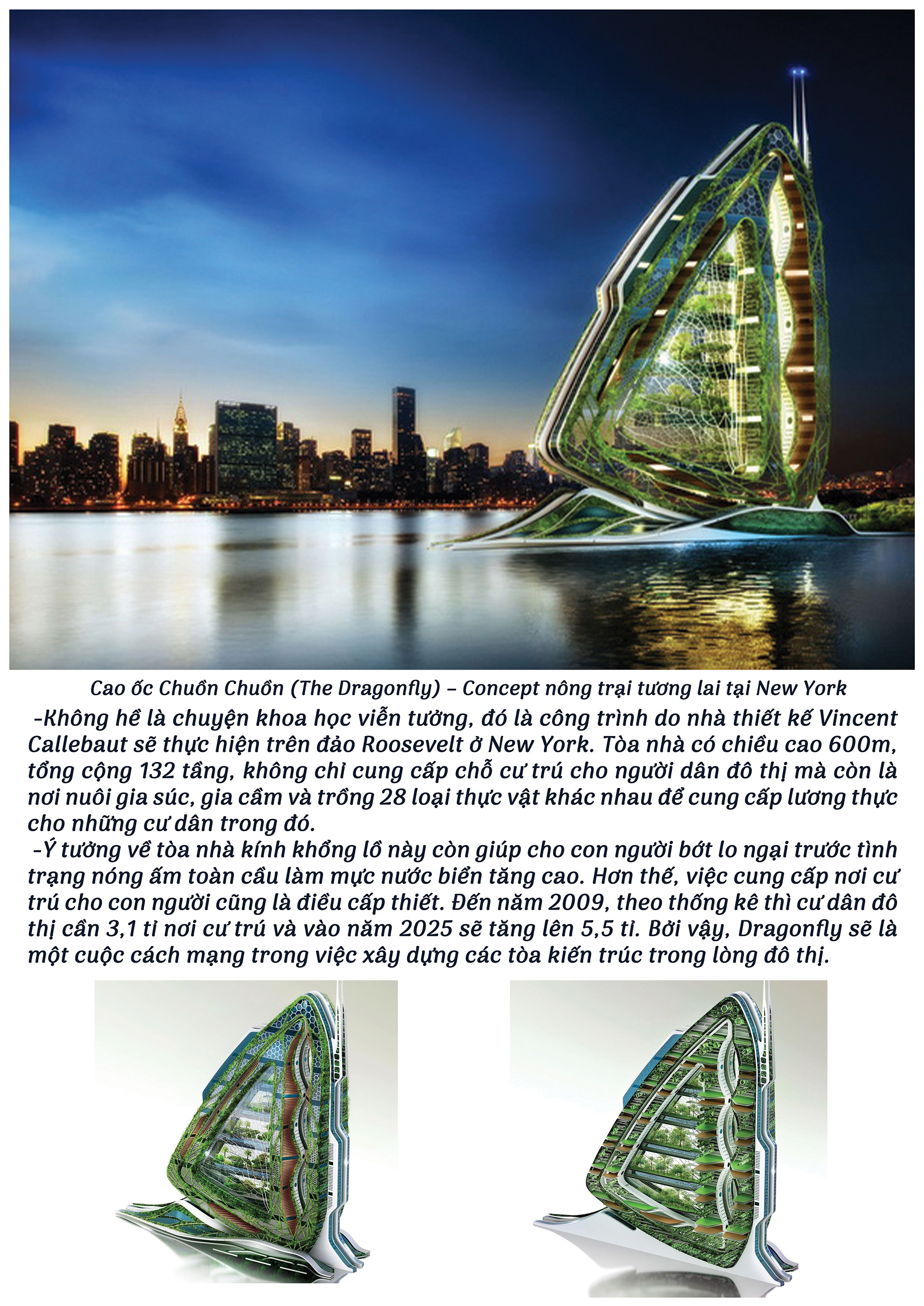 CẤU TẠO KIẾN TRÚC 2: NGHIÊN CỨU BIOMIMETIC ARCHITECTURE-5