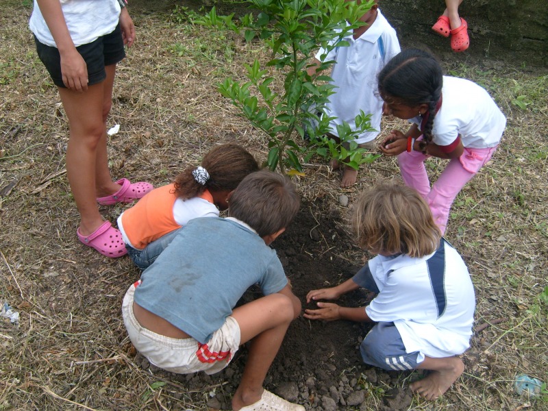 Palomino Border水less生态厕所及儿童图书馆建设项目丨Colombia-10