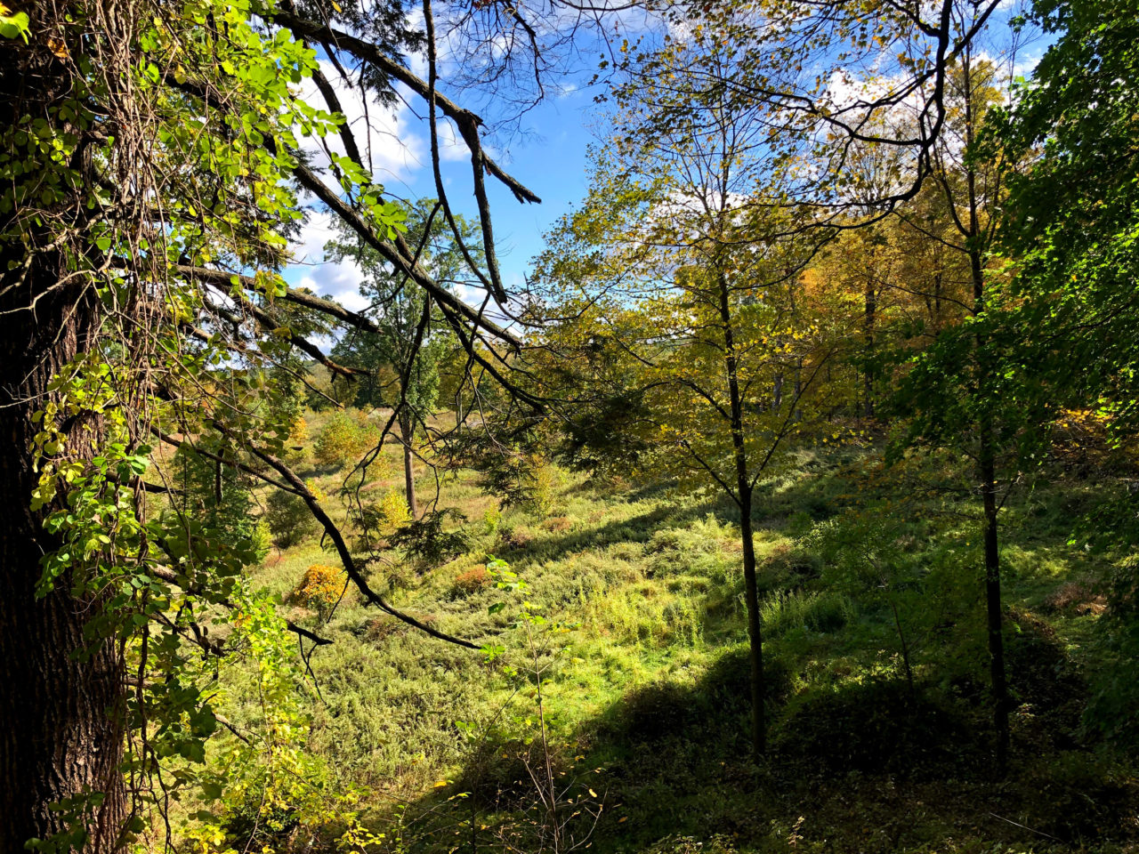 WATERSHED HOUSE MICHAEL K CHEN-15