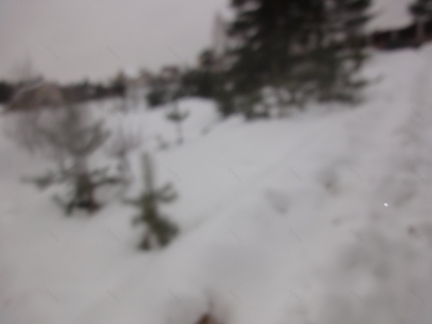 郊区房屋美化与绿化项目-7