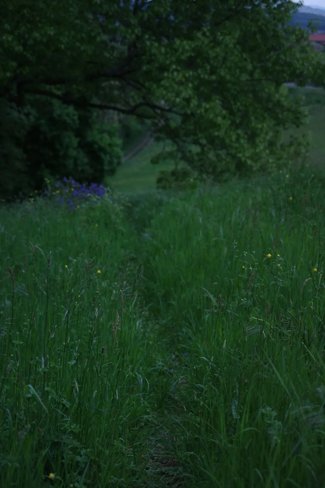 拉图雷特修道院住宿记-22