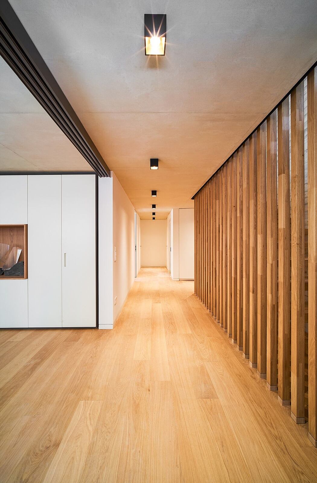 卢森堡单家庭住宅丨Beiler François Fritsch-4