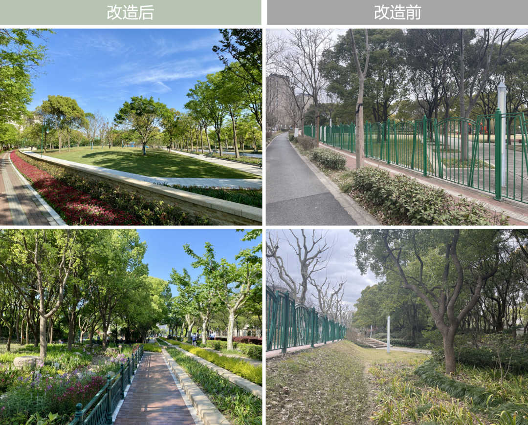 LDG喜报︱新江湾城公园改造项目荣获“2025年度上海市优秀工程勘察设计项目”园林景观与生态环境设计项目二等成果-13