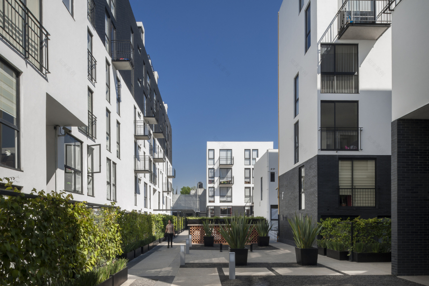 墨西哥城“La Cubana 巧克力工厂”改造住宅设计-43