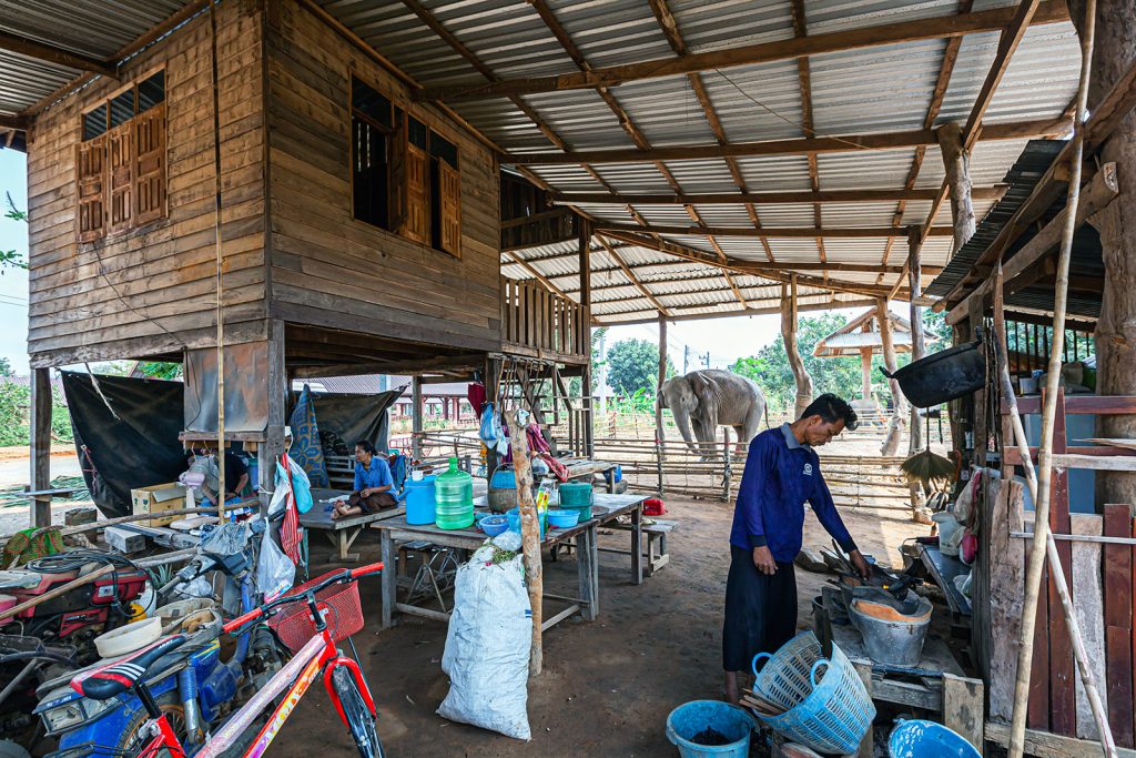 泰国克拉波大象中心（现称“大象世界”）丨泰国素林丨曼谷项目工作室-12