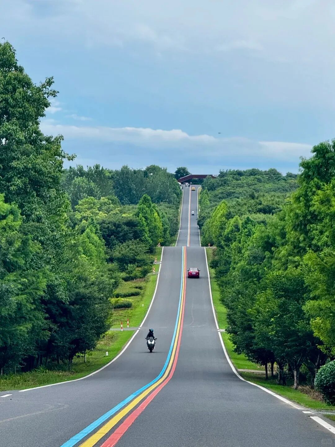 NJFU·人物|在自然肌理中雕琢生态诗篇——南京林业大学严军教授的生态设计实践-8