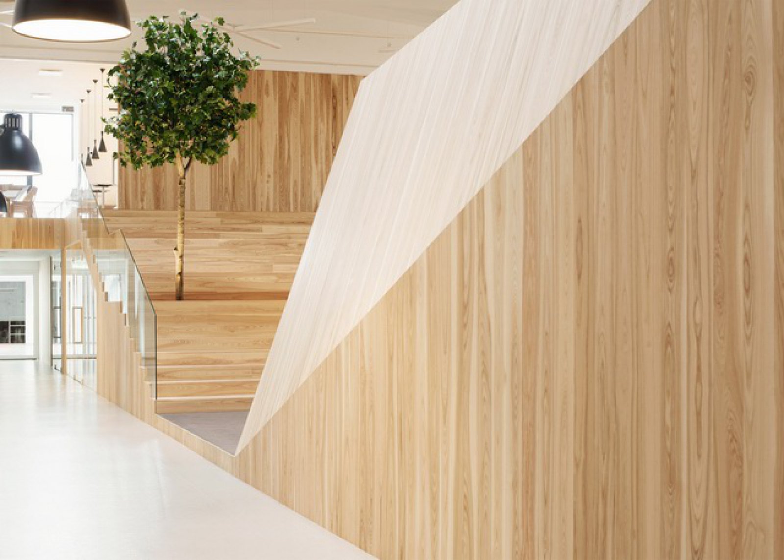 夏日森林办公空间 tree filled office  KAMP Arhitektid-6