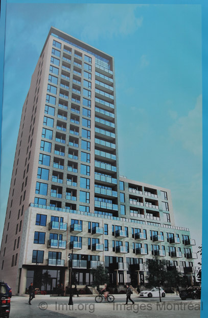 David Boulva Cleve（建筑以建筑师命名）丨David Boulva Cleve,Nicole-36