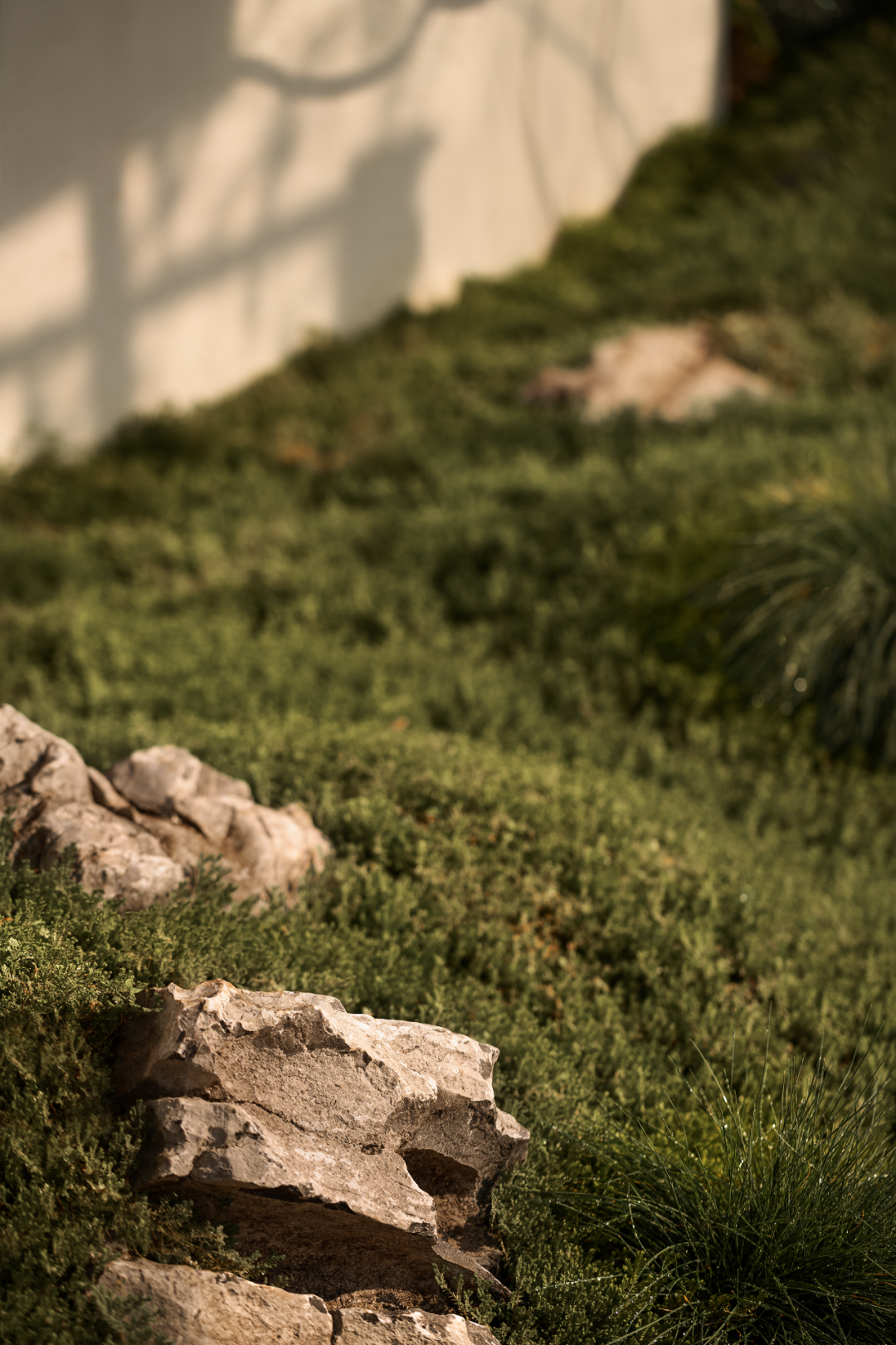 相上丨Ladésee工作室：向外生长，在公共与非公共之间-54