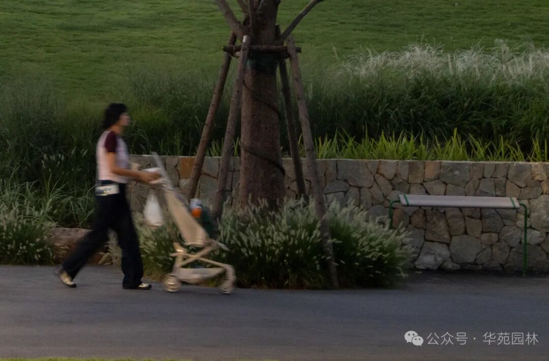 在岛上，过另一种生活丨武汉麓客岛一期一标段&水线公园南区景观工程-39