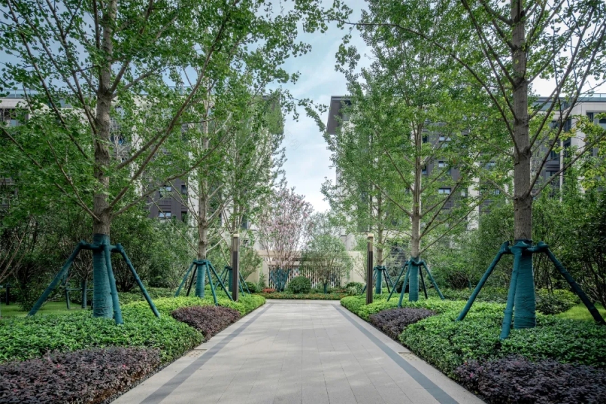 郑州融创美盛象湖壹号三期·芳园景观-19