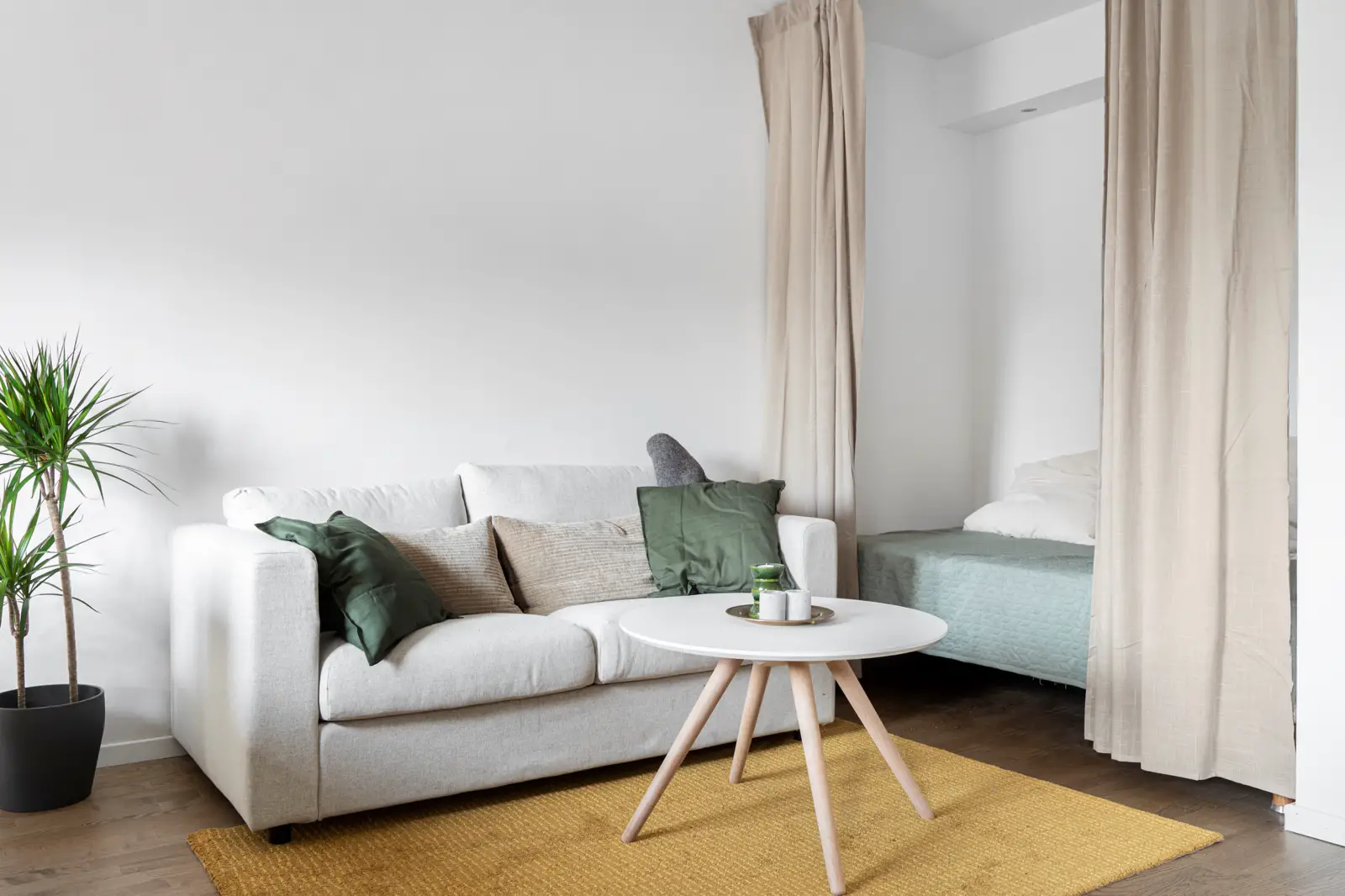 瑞典 26m2 绿色时尚工作室-8