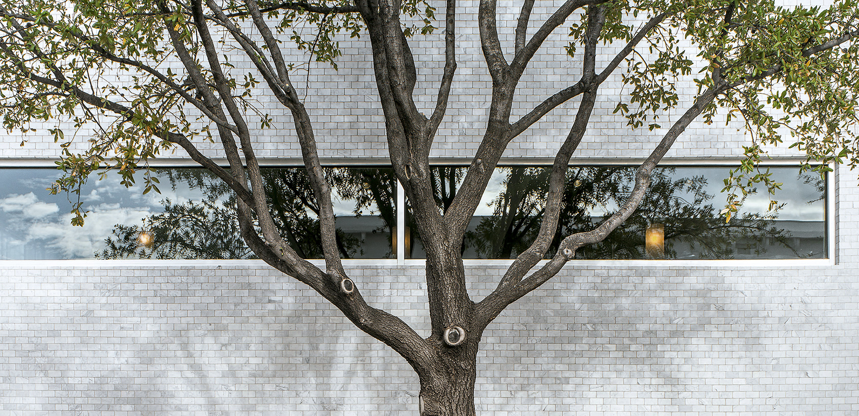 圣乔治酒店 | 沙漠景观中的钢铁艺术-19