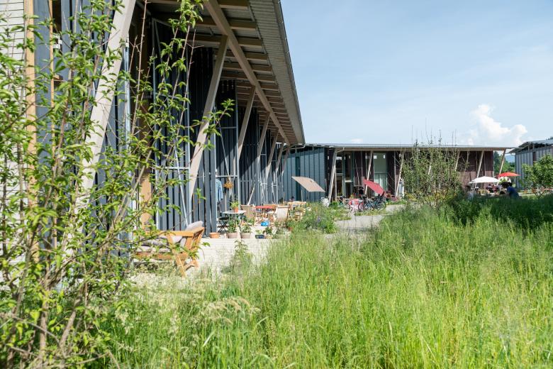 Trift Kuppe丨瑞士丨manoa landschaft ag-2