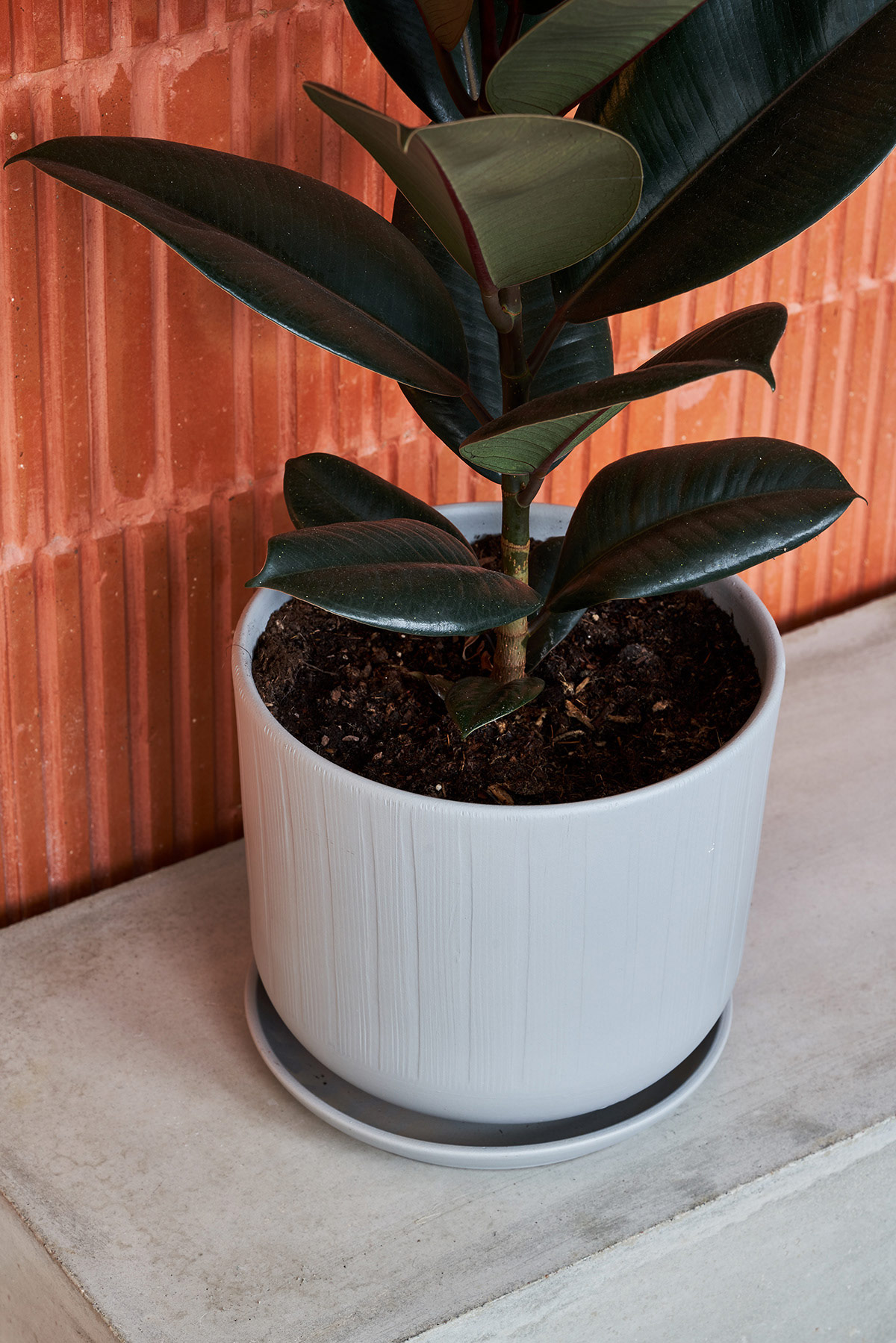 Модерен, интелигентен интериор в малък апартамент под 40 кв.м.-36