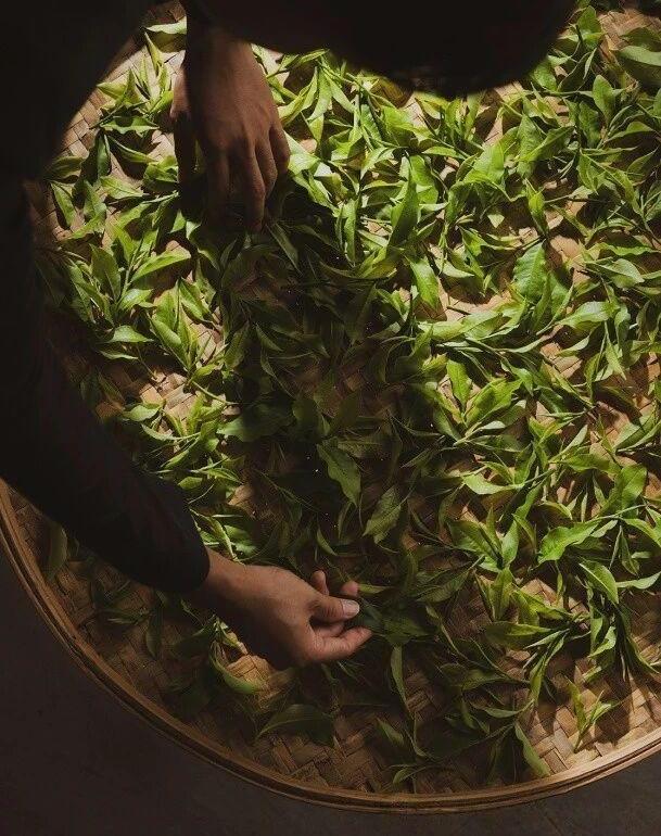 台北嘉佩乐酒店丨中国台北丨André Fu傅厚民-33