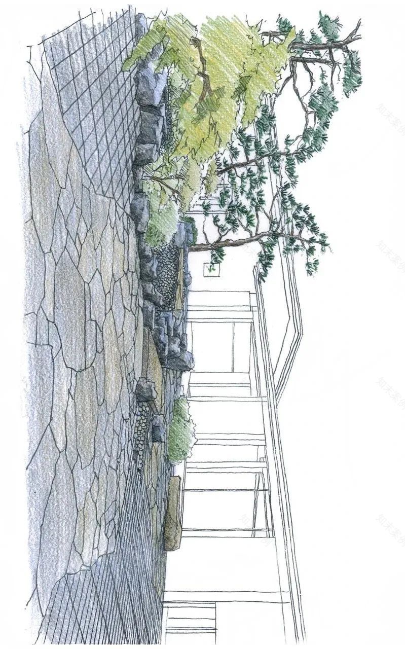 境迁庭 | 自然性与几何性的共生-85